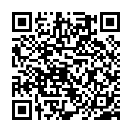 QR code for IIV0316