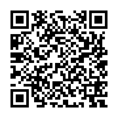 QR code for IIW9687