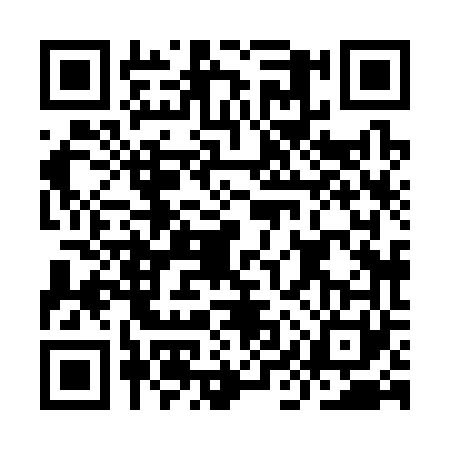 QR code for IIX3619