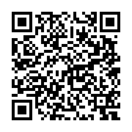 QR code for IJC4117