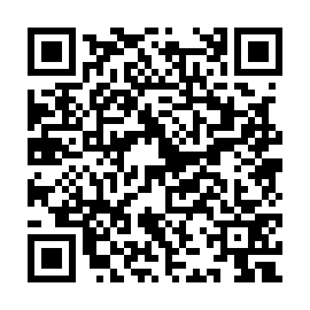 QR code for IJP1738