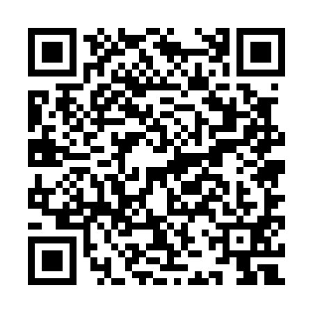 QR code for IJU0919