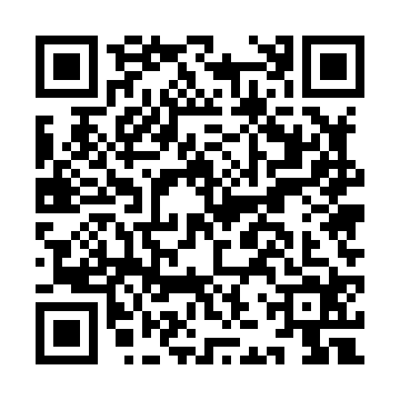 QR code for IJU8246