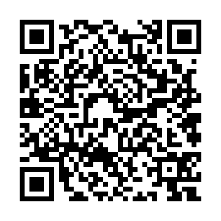 QR code for IJV1343