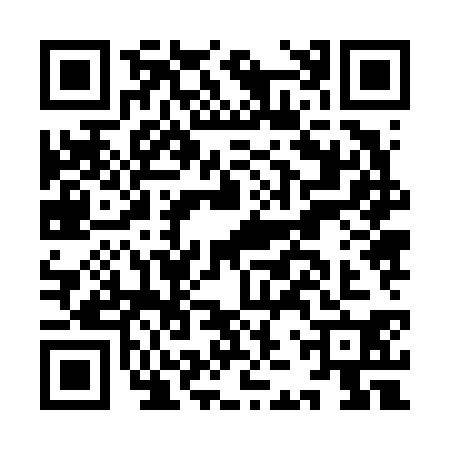 QR code for IJZ6306