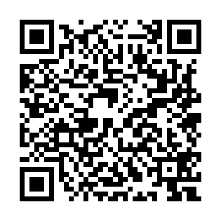QR code for ILO9195