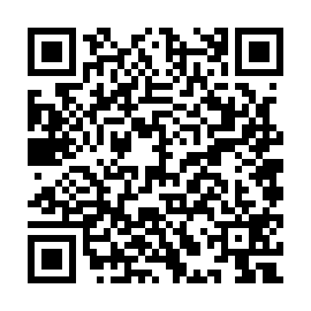 QR code for ILV1196