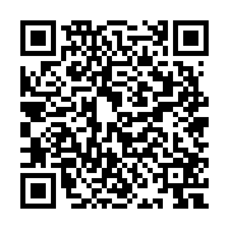 QR code for INE6069