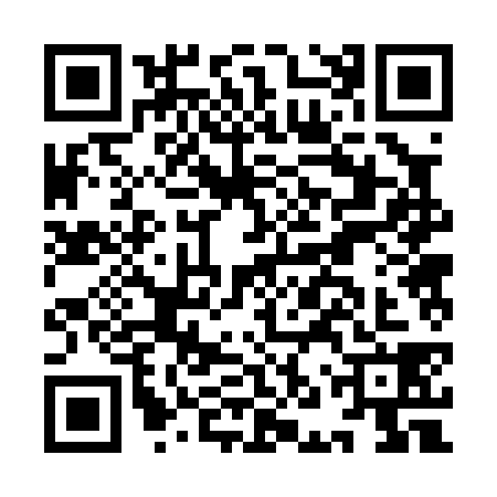 QR code for INR0382