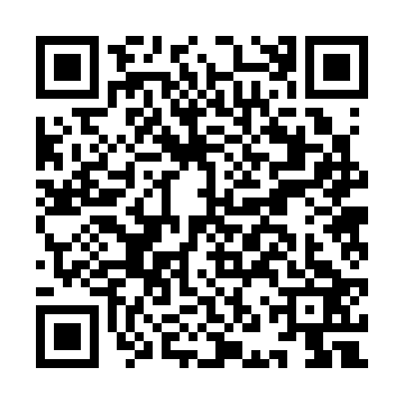 QR code for INR3233