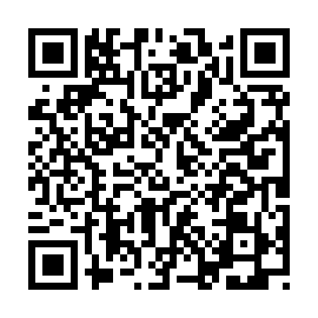 QR code for IOO8596