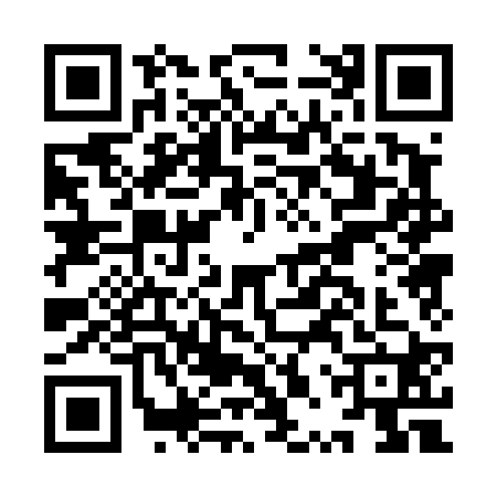 QR code for IPP4201