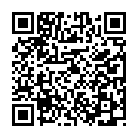 QR code for IRE4993