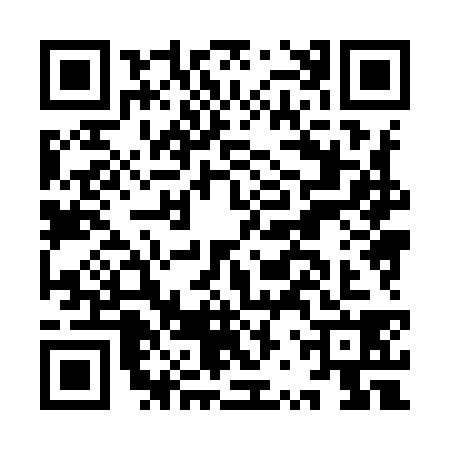 QR code for IRX9381