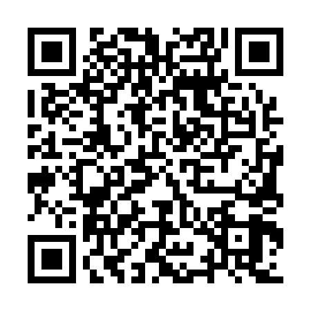 QR code for IYE1493