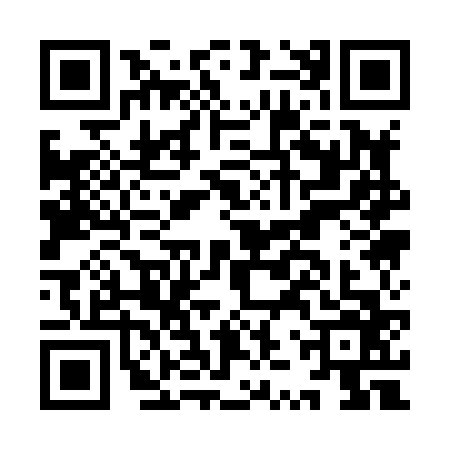 QR code for IZQ8667
