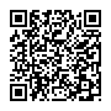QR code for IZY4038