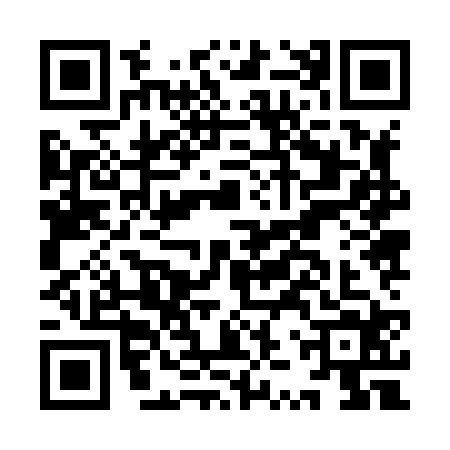 QR code for IZZ8241