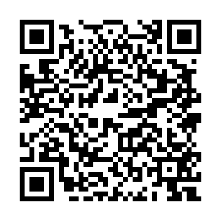 QR code for JOY4538