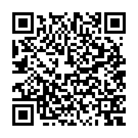 QR code for JYR2738