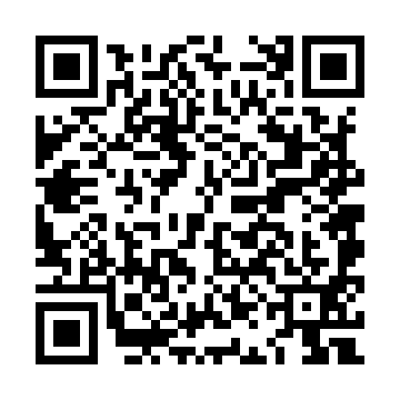 QR code for LAF9919
