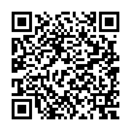 QR code for LAP0911
