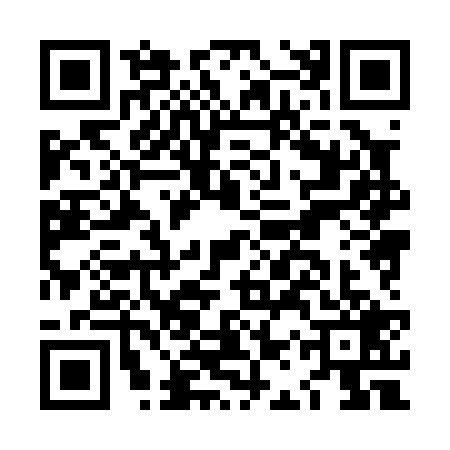 QR code for LAX0296