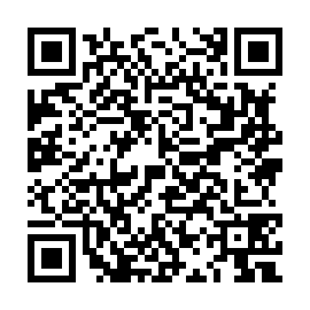 QR code for LAY8787