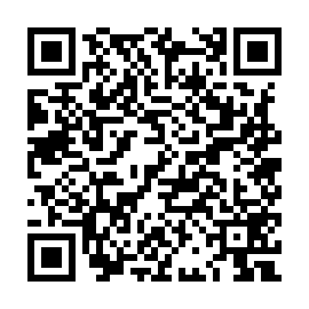 QR code for LBG9594