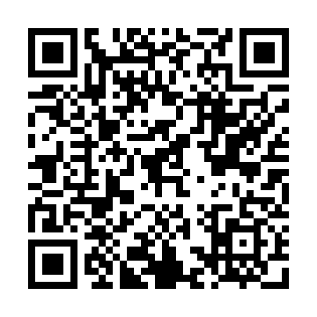 QR code for LCP0393