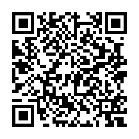 QR code for LDI0110
