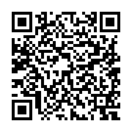 QR code for LDR9911