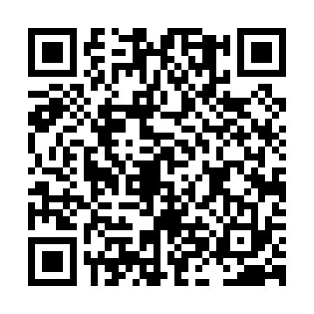 QR code for LHD0333