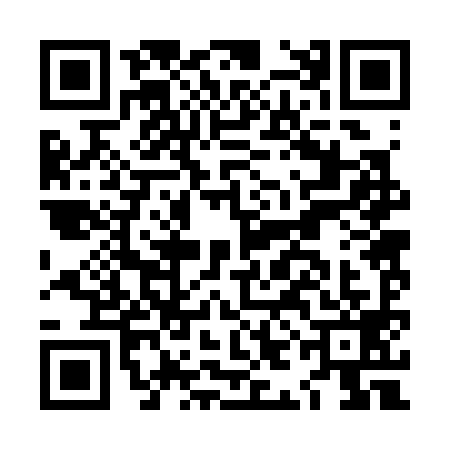 QR code for LIB3998