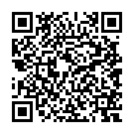 QR code for LID0049