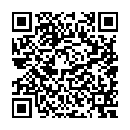 QR code for LIE9959