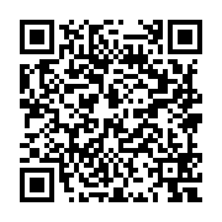 QR code for LJY9993