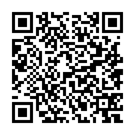 QR code for LMN1741