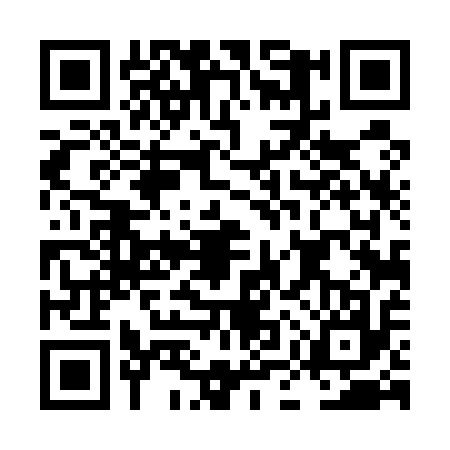 QR code for LMT5173