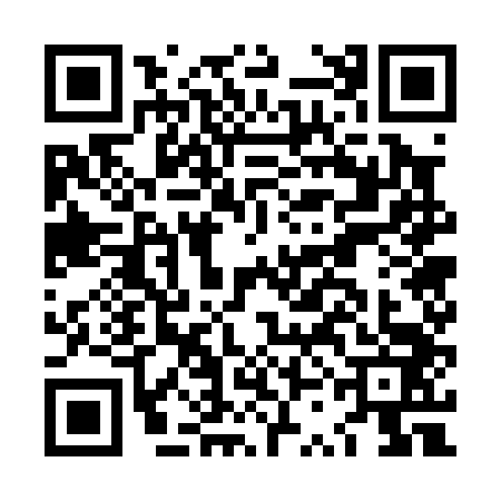 QR code for LSG0437