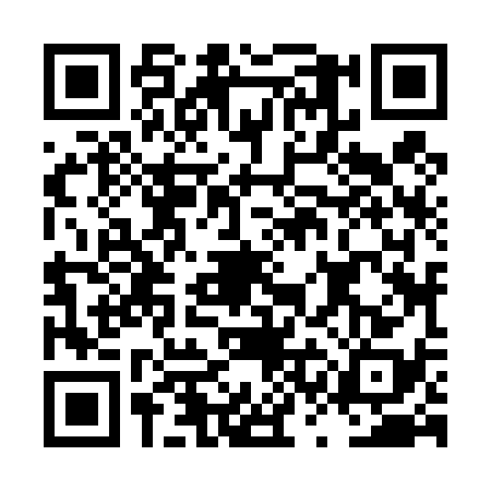 QR code for LSJ4384