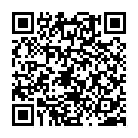 QR code for LSK1381
