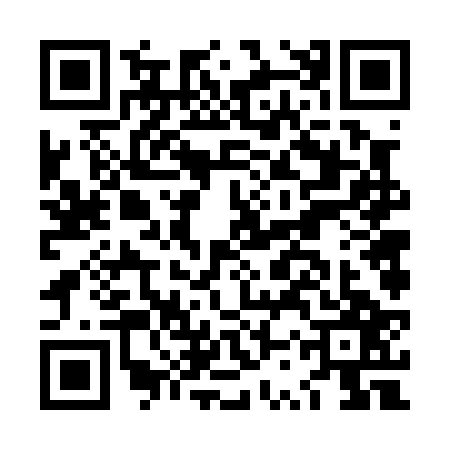 QR code for LSV0271