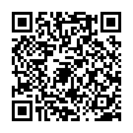 QR code for LUD2382