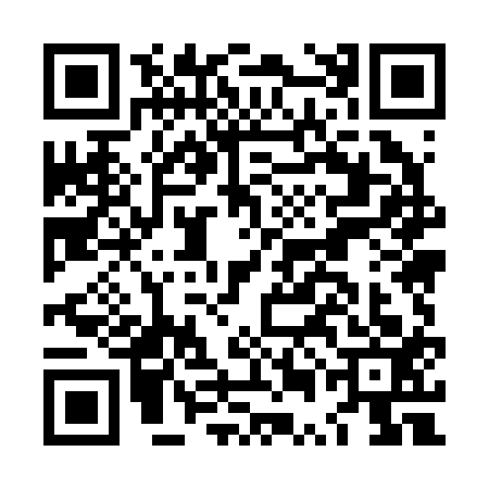 QR code for LUM2133