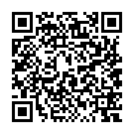 QR code for LUV9687
