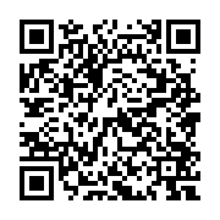 QR code for MAX3439