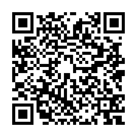 QR code for MCM0338