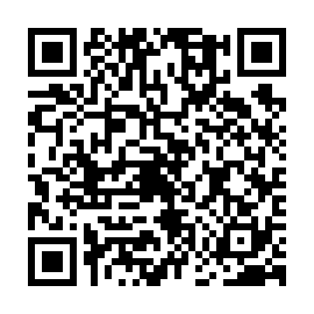 QR code for MGS6306