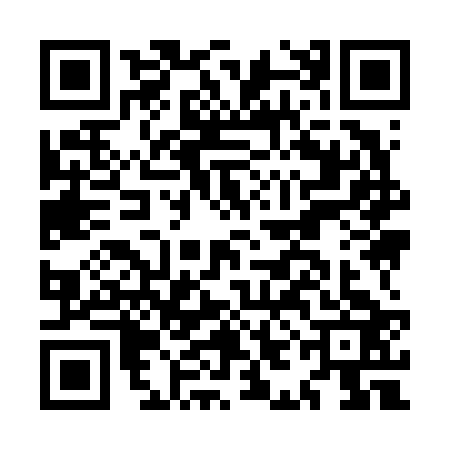 QR code for MII6236